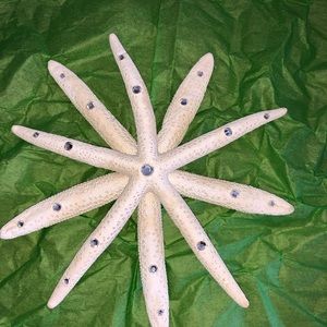 Beach Christmas ornament/tree topper